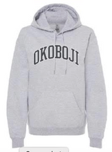 Load image into Gallery viewer, "FF2" Adult Softstyle Hooded Sweatshirt - Gray/White on Sport Gray