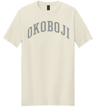 Load image into Gallery viewer, &quot;FF1&quot; Adult Softstyle T-Shirt (64000) - Charcoal on Natural
