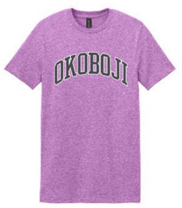 "FF2" Adult Softstyle T-Shirt (64000) - Gray/White on Heather Radiant Orchid